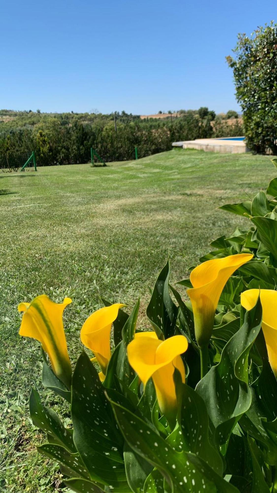 Villa Quinta Pedro E Ines Bragança Exterior foto